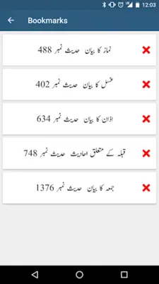 Sunan an Nasai - Urdu and English Translations android App screenshot 2